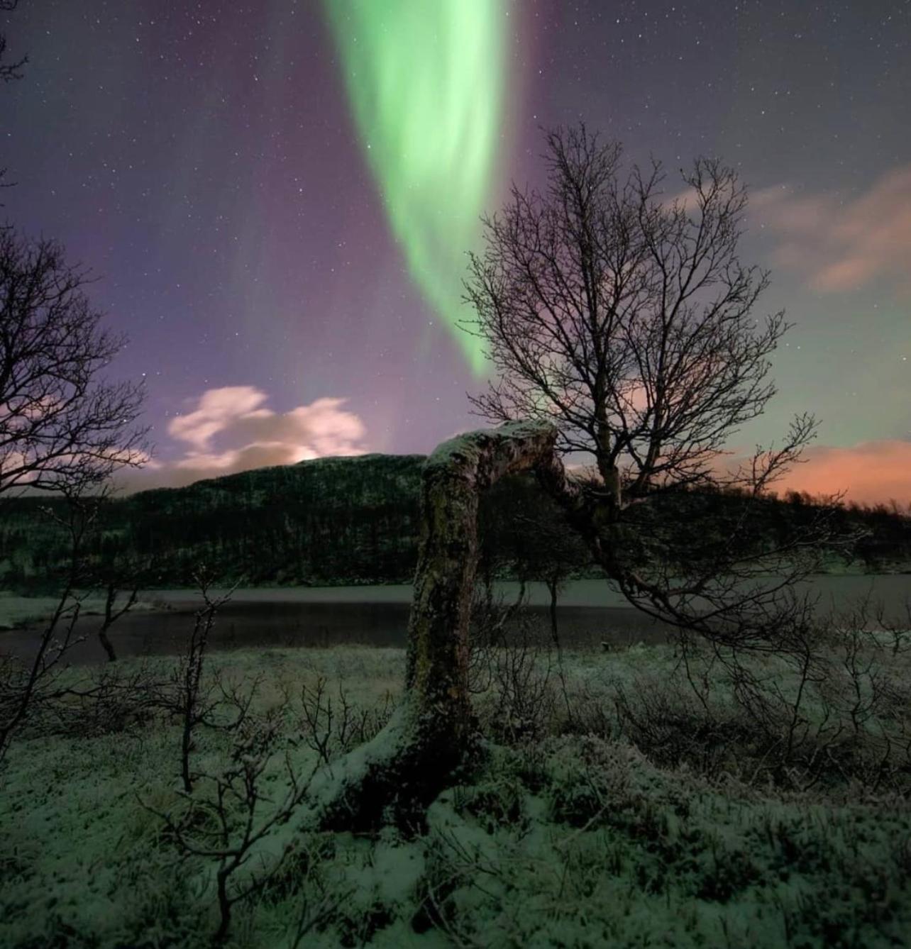 Harstad, Seasons * Harstad